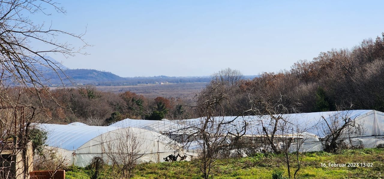 Prime investment opportunity in Ulcinj: expansive greenhouses, verdant land, panoramic hills&mdash;exclusive on immorenta.me by Ekosphere.