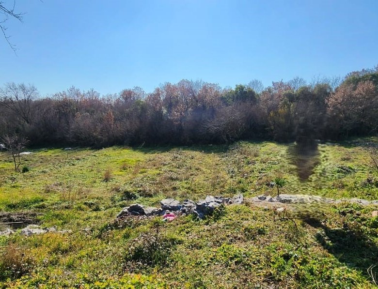 Prime investment land in Ulcinj, Montenegro&mdash;sunny, spacious clearing with natural features. Listed on immorenta.me by ekosphere doo.