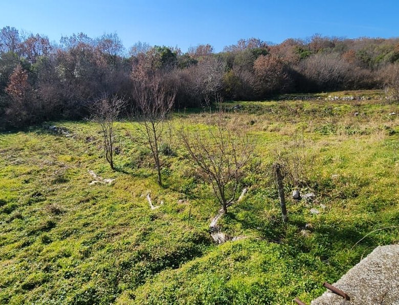 Prime Ulcinj investment land: spacious grassy field, mature trees, forest border. Clear blue sky, fenced edge. Montenegro-listings.me by ekosphere doo.