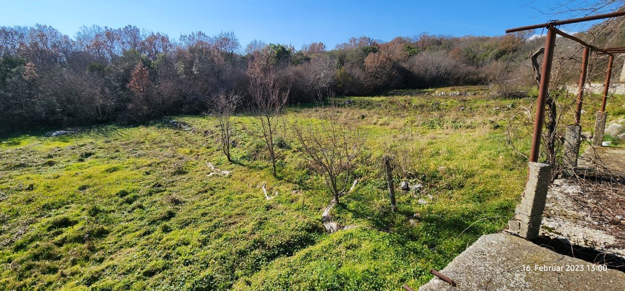 Prime Ulcinj investment land: spacious grassy field, mature trees, forest border. Clear blue sky, fenced edge. Montenegro-listings.me by ekosphere doo.