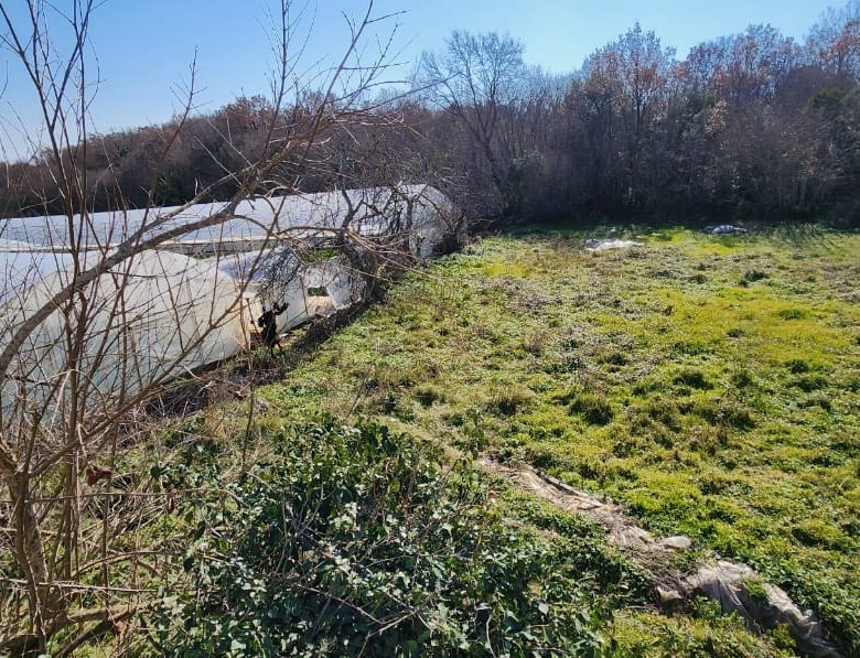 Prime investment opportunity: spacious Ulcinj land with greenhouse, sunlit clearing, ideal for development&mdash;on immorenta.me by ekosphere doo.