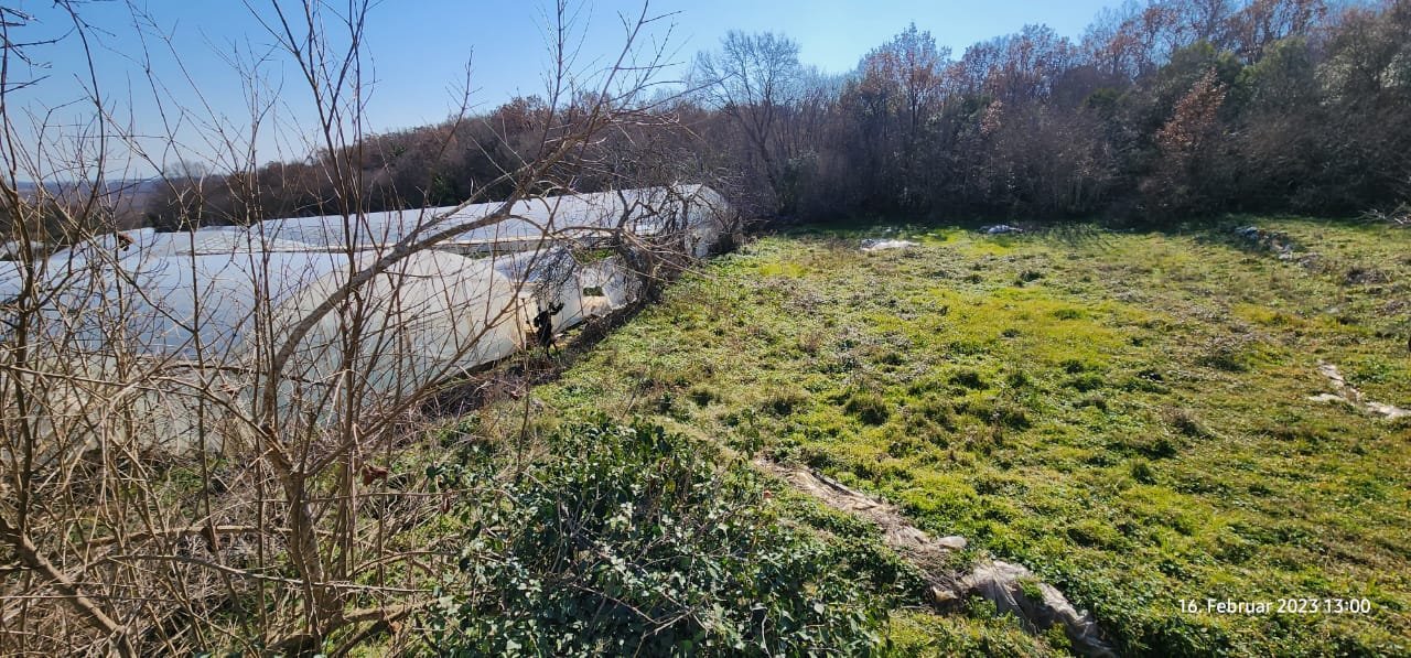 Prime investment opportunity: spacious Ulcinj land with greenhouse, sunlit clearing, ideal for development&mdash;on immorenta.me by ekosphere doo.