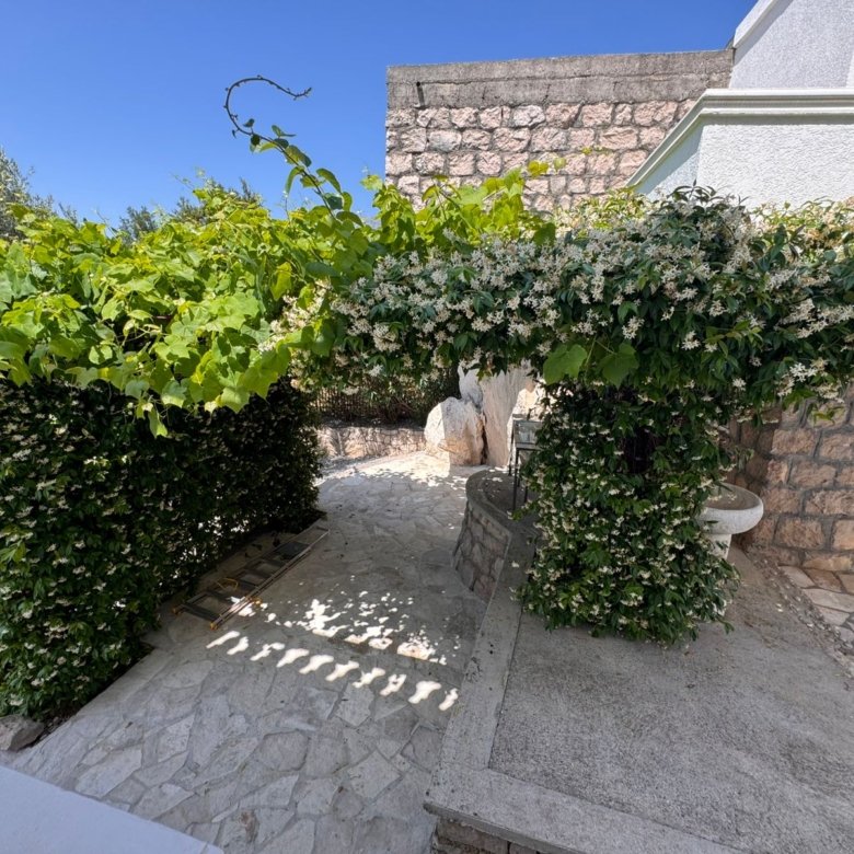 Discover this picturesque stone patio in Ulcinj with lush vines, well, and glass door&mdash;exclusive from immorenta.me by Ekosphere.
