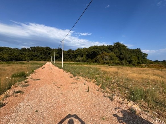 Premium-Immobilien in Ulcinj: grasbewachsenes Feld mit Strommasten, ideal f&uuml;r Investitionen. Eingetragen bei immorenta.me von ekosphere doo. 