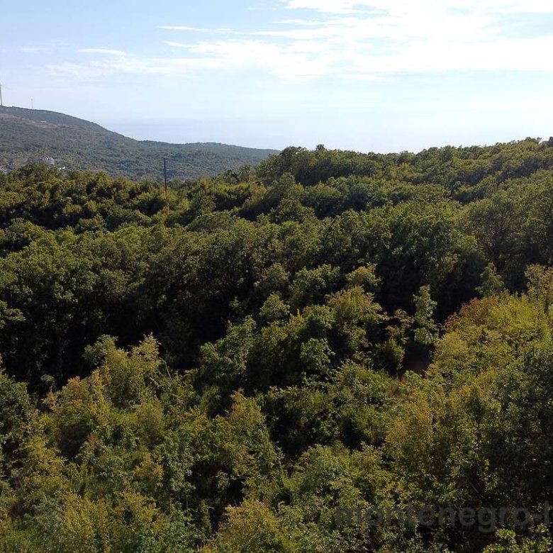 Lush green forests and rolling hills with wind turbines in Ulcinj, Montenegro&mdash;prime eco-friendly real estate by Ekosphere.