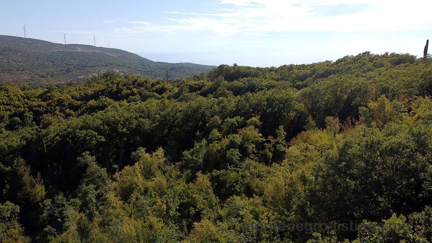 Lush green forests and rolling hills with wind turbines in Ulcinj, Montenegro&mdash;prime eco-friendly real estate by Ekosphere.