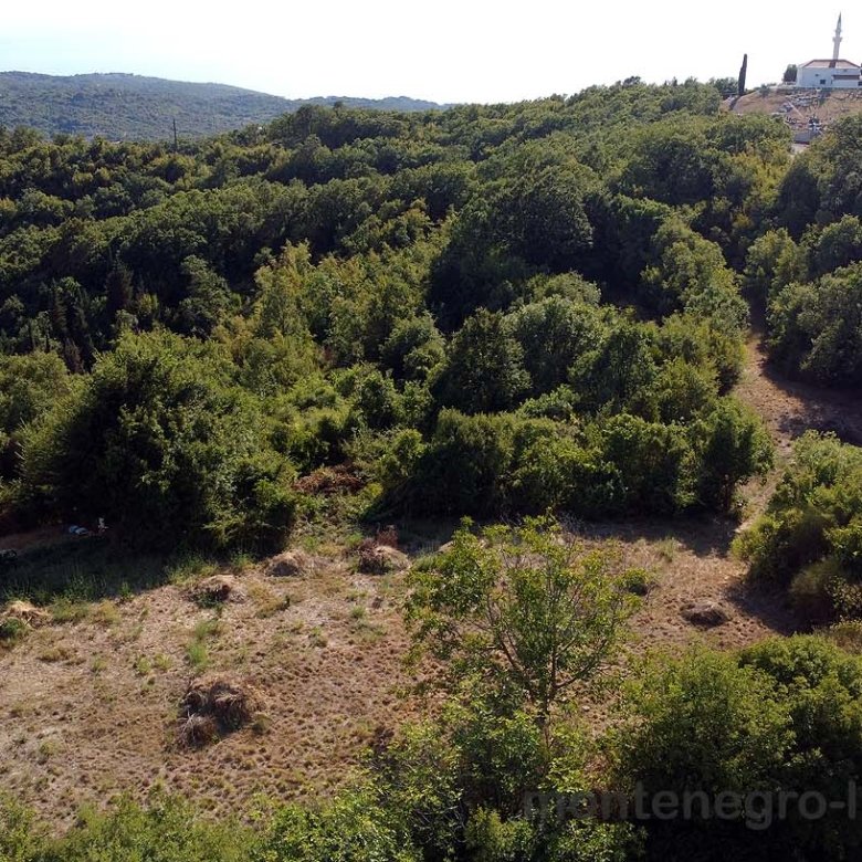 Aerial view of prime Ulcinj real estate&mdash;forest hills, road access, and ekosphere doo site. Invest with immorenta.me today!.