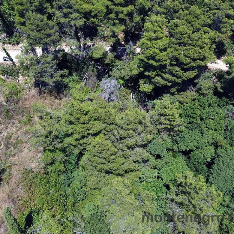 Aerial view of prime Ulcinj property sites amid lush forest, ideal for investment. Presented by ekosphere doo on immorenta.me.