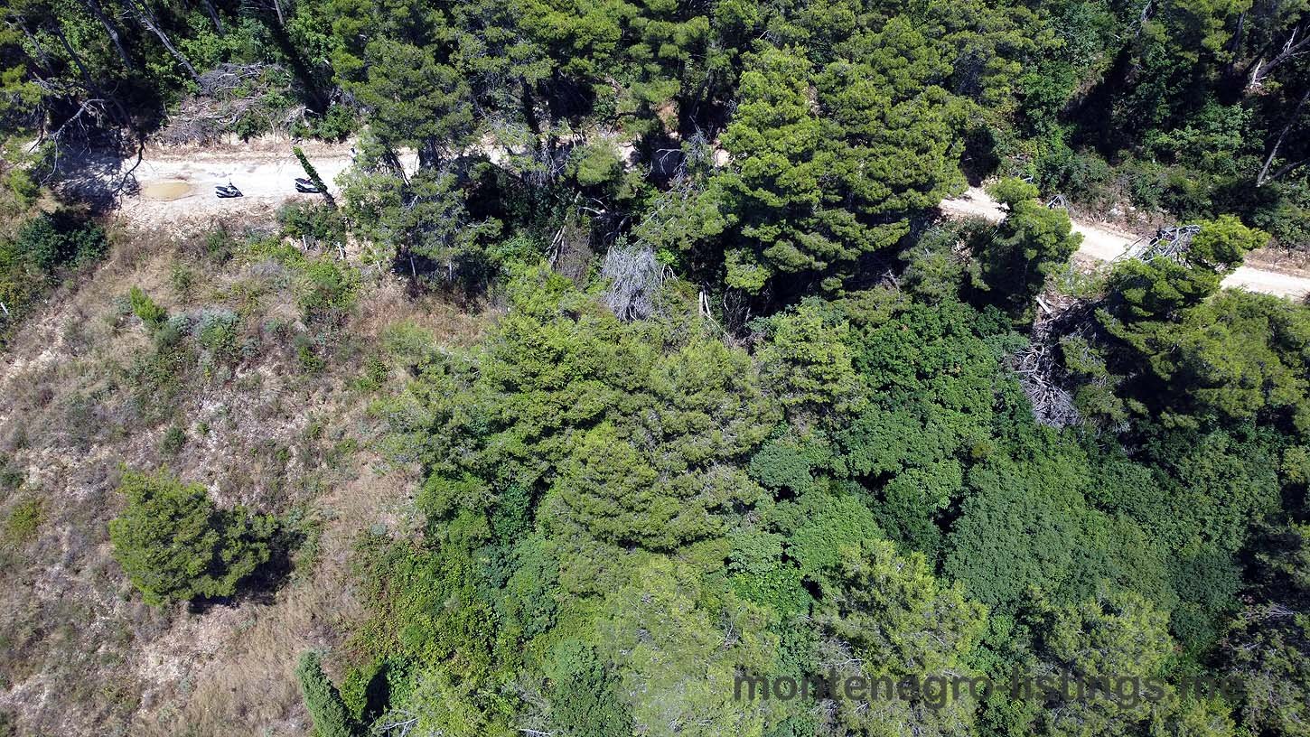 Aerial view of prime Ulcinj property sites amid lush forest, ideal for investment. Presented by ekosphere doo on immorenta.me.