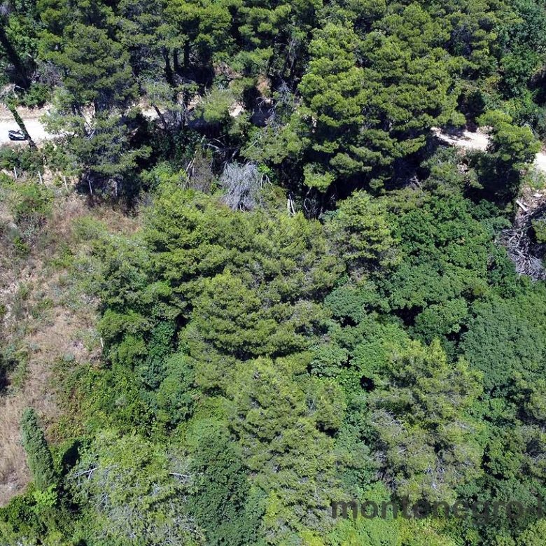 Aerial view of prime Ulcinj Montenegro real estate near lush forests and access roads&mdash;ideal investment. A project of ekosphere doo.
