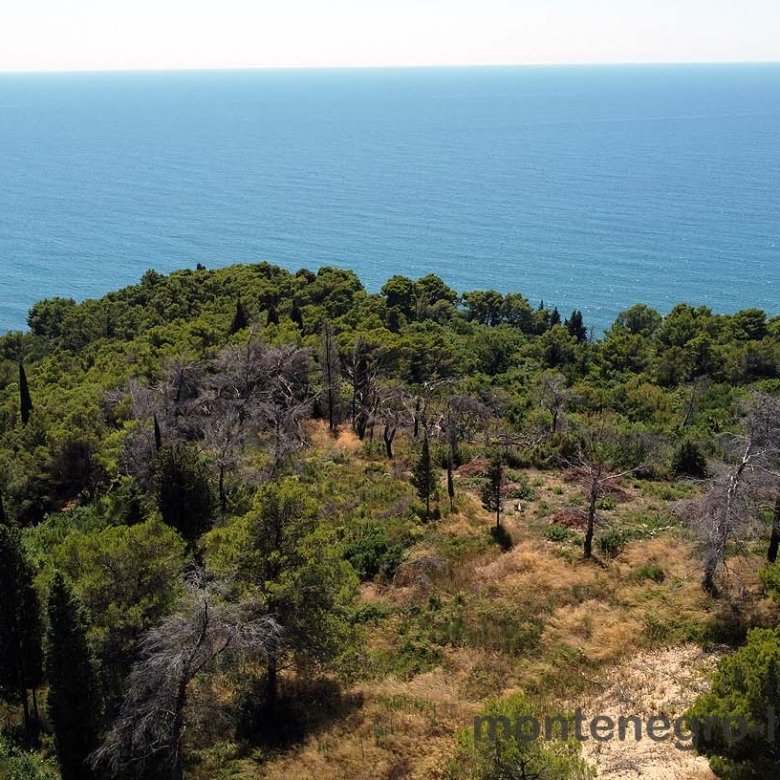 Ulcinj real estate: prime properties amid lush greenery, near Adriatic Sea. Invest via immorenta.me by ekosphere doo.