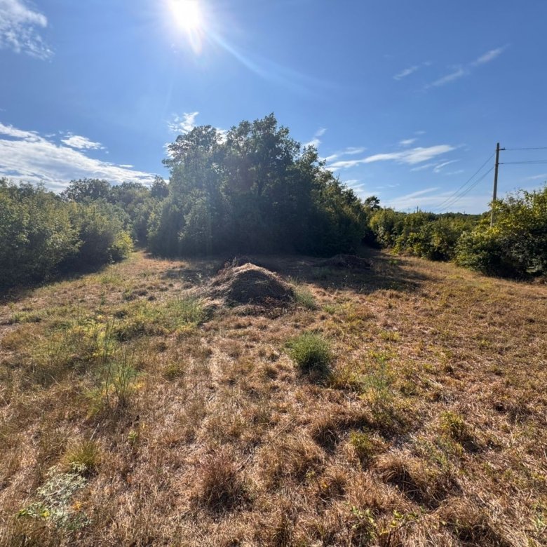 Prime investment opportunity: sunny Ulcinj Montenegro land with utilities, lush borders, on immorenta.me by ekosphere doo.