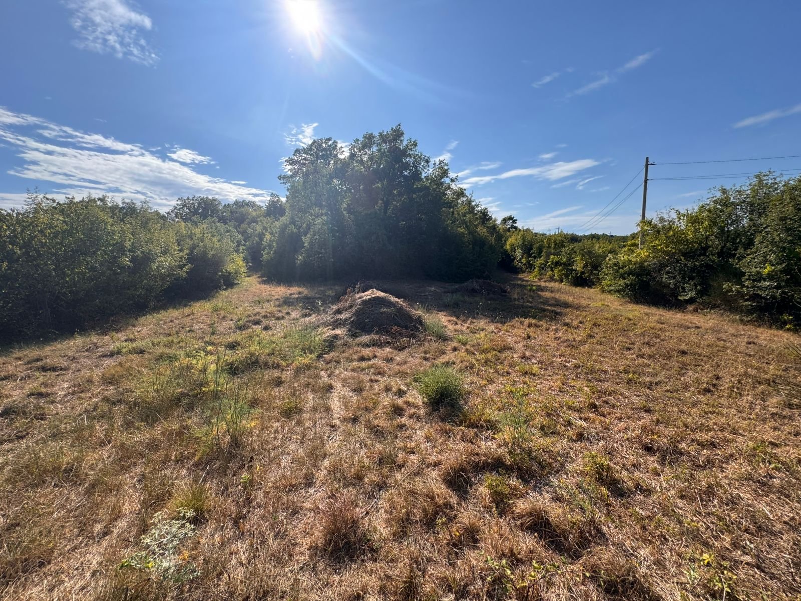 Prime investment opportunity: sunny Ulcinj Montenegro land with utilities, lush borders, on immorenta.me by ekosphere doo.