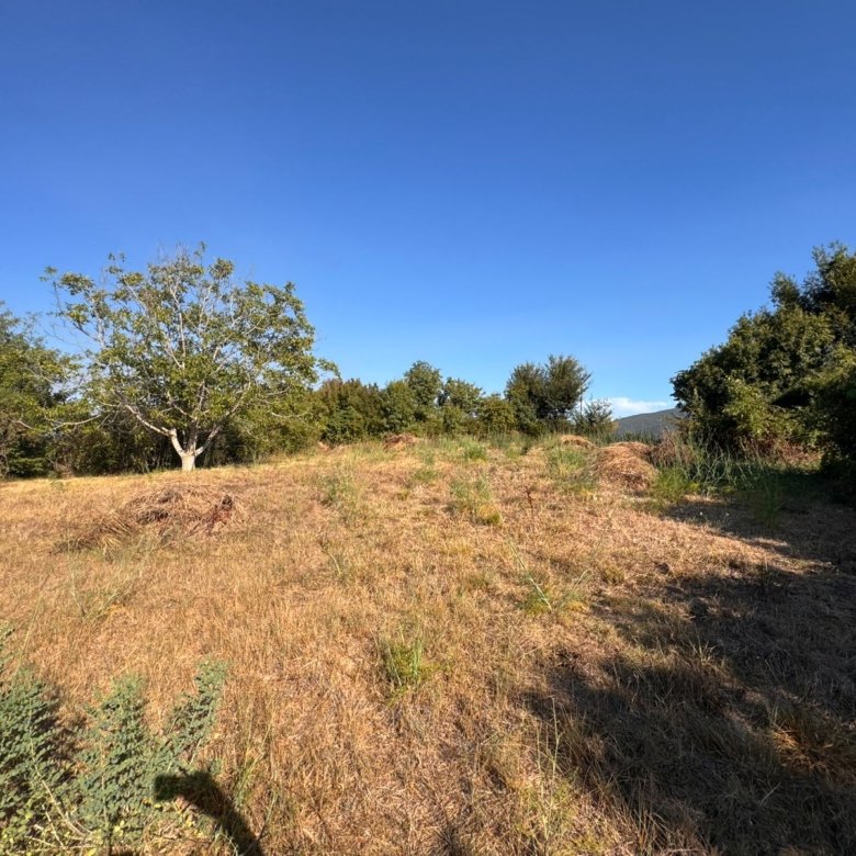 Prime Ulcinj, Montenegro land for sale: sunlit field, shrubs, trees&mdash;ideal property investment by ekosphere doo; immorenta.me.