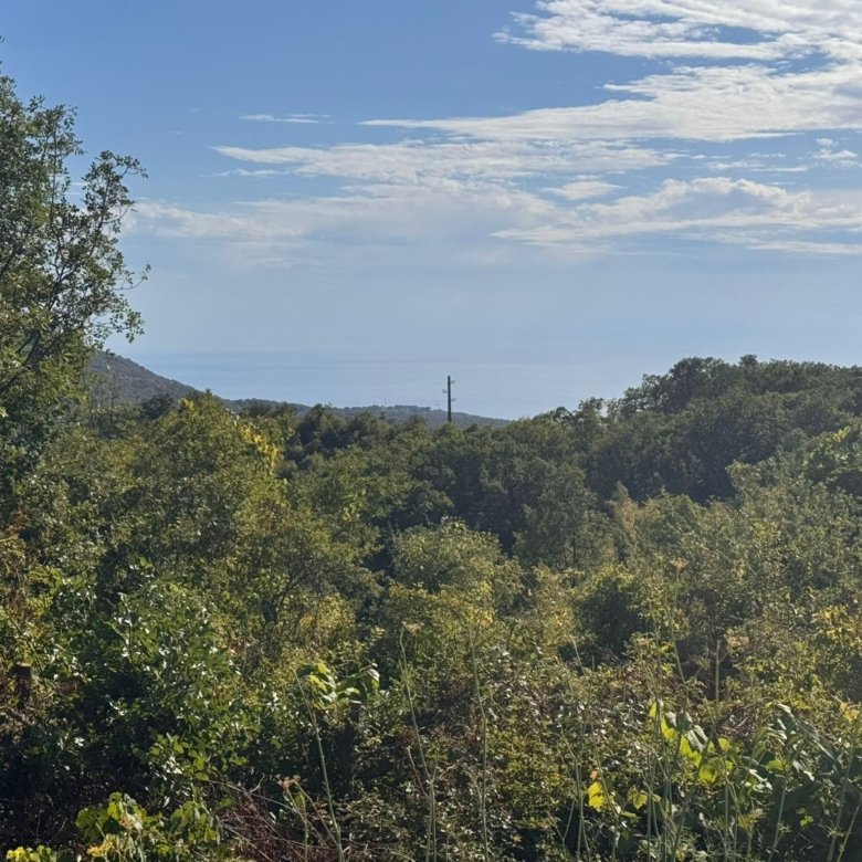 Scenic Ulcinj land for sale: lush forest, sea view, hill vistas&mdash;prime Montenegro real estate by immorenta.me (Ekosphere DOO).