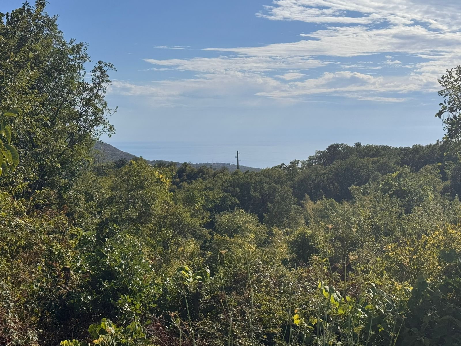 Scenic Ulcinj land for sale: lush forest, sea view, hill vistas&mdash;prime Montenegro real estate by immorenta.me (Ekosphere DOO).