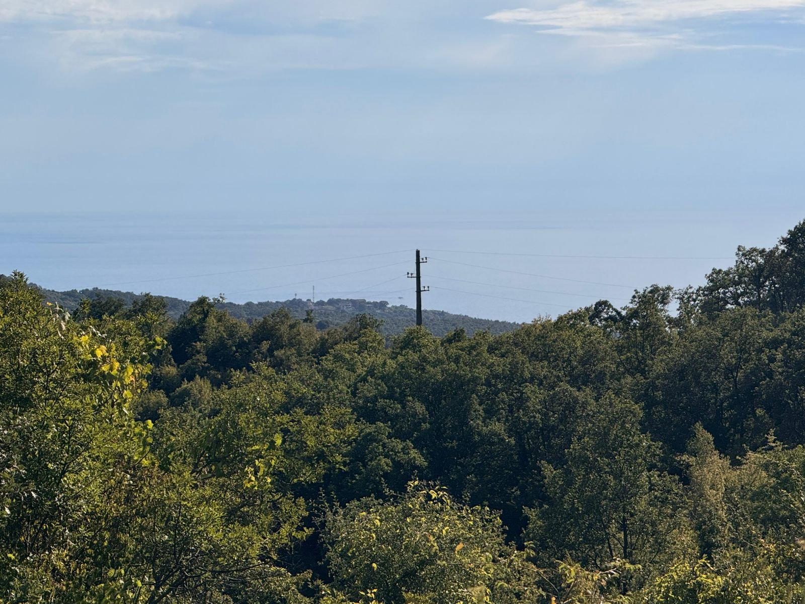 Discover prime Ulcinj real estate: lush greenery, panoramic horizon and sea views&mdash;exclusive listings by immorenta.me, a project of ekosphere doo.