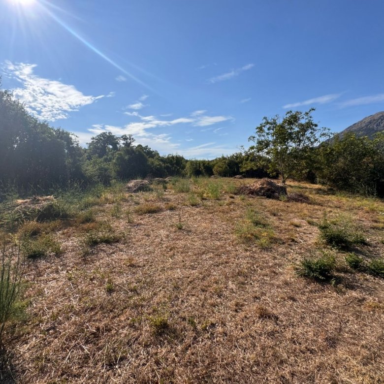 Prime Ulcinj, Montenegro land: sunny, open clearing with mountain views&mdash;top real estate investment via immorenta.me by Ekosphere doo.