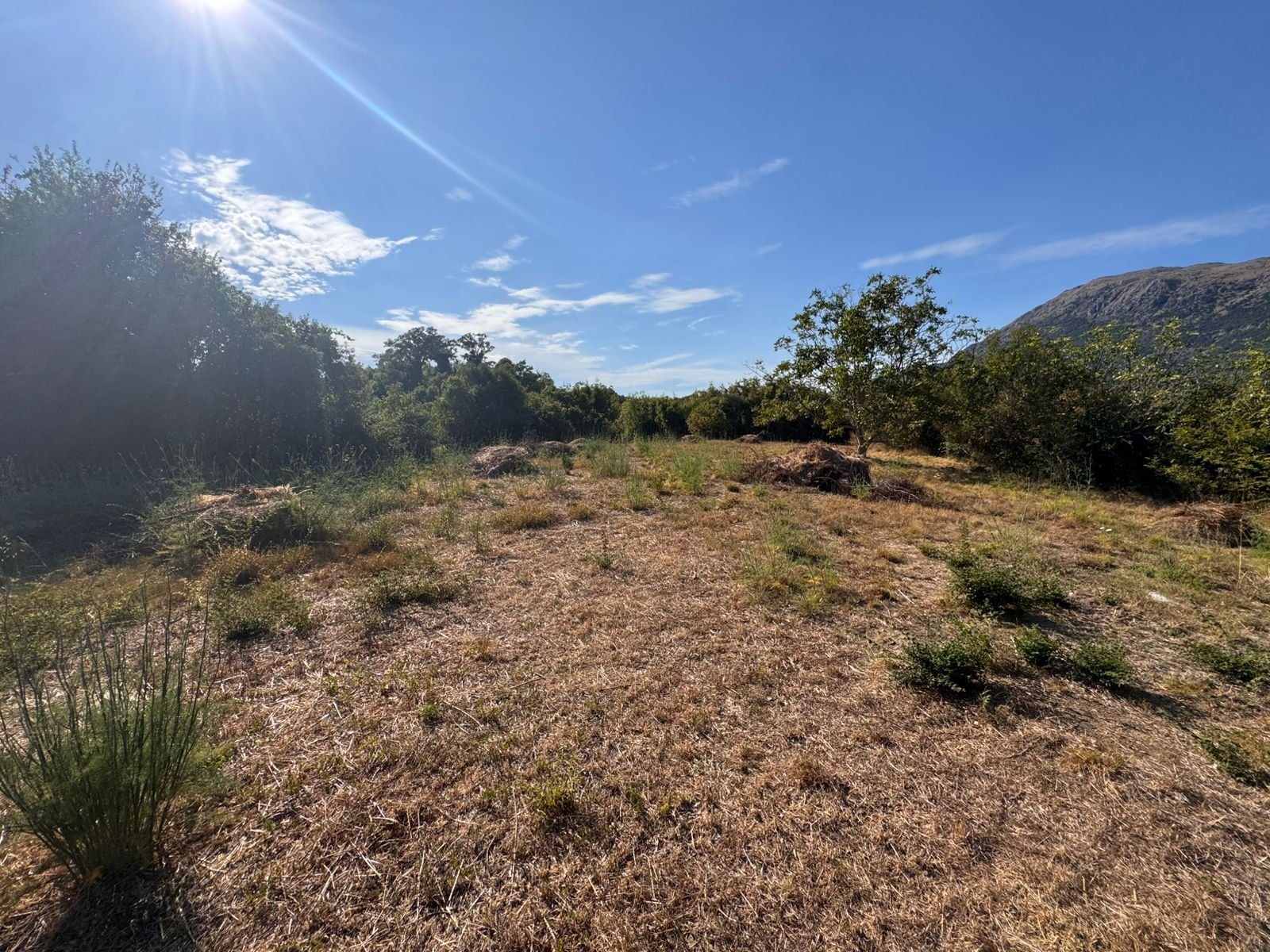 Prime Ulcinj, Montenegro land: sunny, open clearing with mountain views&mdash;top real estate investment via immorenta.me by Ekosphere doo.