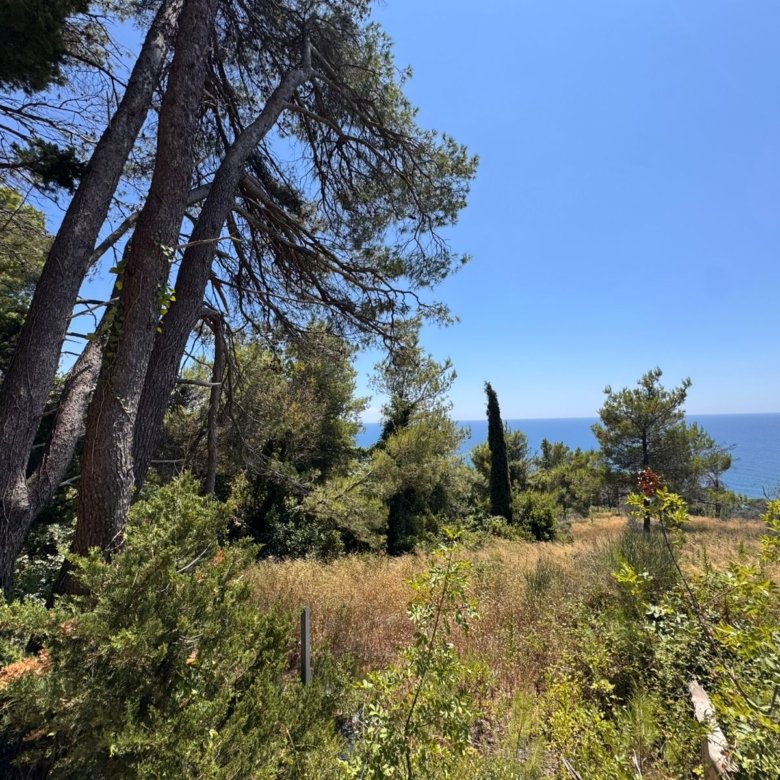 Stunning Ulcinj hillside properties for sale, surrounded by lush greenery and sea views. Invest with immorenta.me by ekosphere doo.