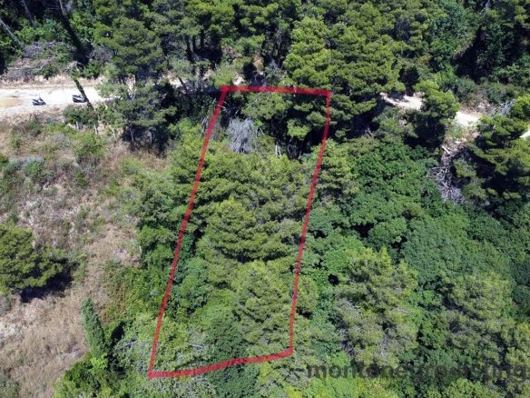 Prime rectangular land in Ulcinj, Montenegro, outlined in red, bordered by lush greenery and road&mdash;exclusive on immorenta.me, a project of Ekosphere doo.
