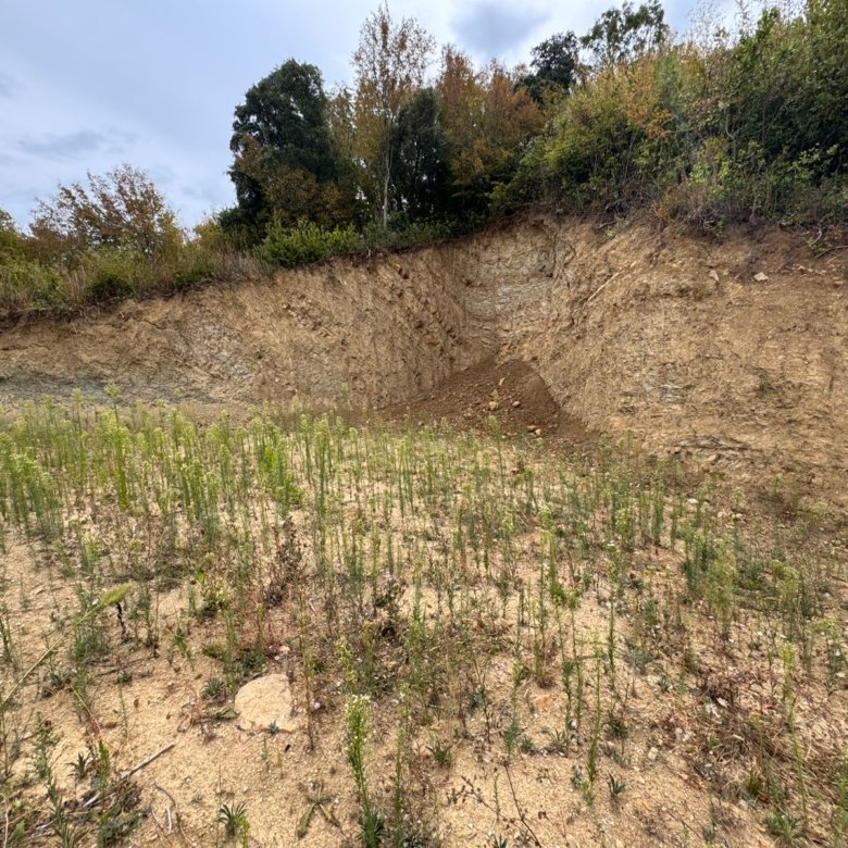 Premium Ulcinj land investment: elevated terrain with potential, greenery, trees, and stunning views. Eksphere doo&mdash;immorenta.me.