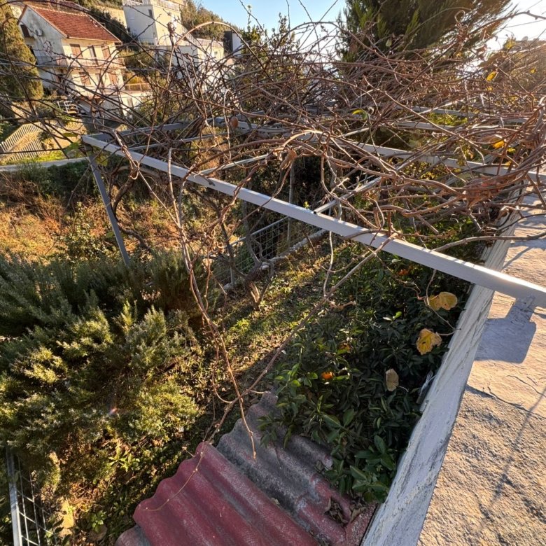 Elevated view of a sunlit Ulcinj garden with lush shrubs, yellow blooms, stone steps&mdash;prime Montenegro real estate by ekosphere doo.