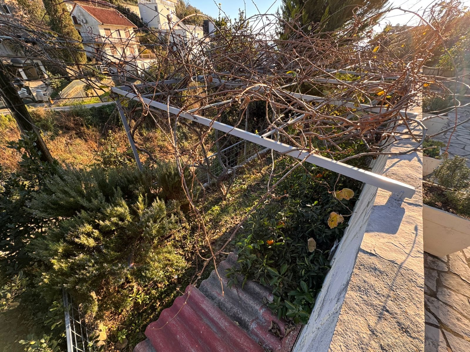 Elevated view of a sunlit Ulcinj garden with lush shrubs, yellow blooms, stone steps&mdash;prime Montenegro real estate by ekosphere doo.