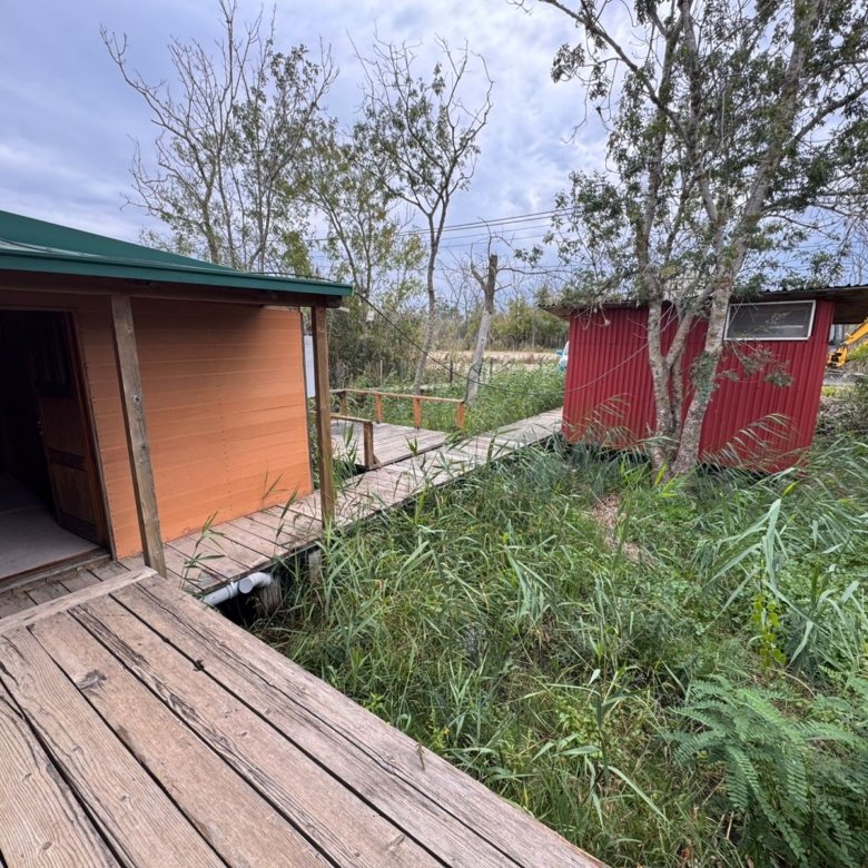 Charming Ulcinj property: wooden boardwalk links rustic brown home to red shed amid lush greenery. Invest via immorenta.me by ekosphere doo.