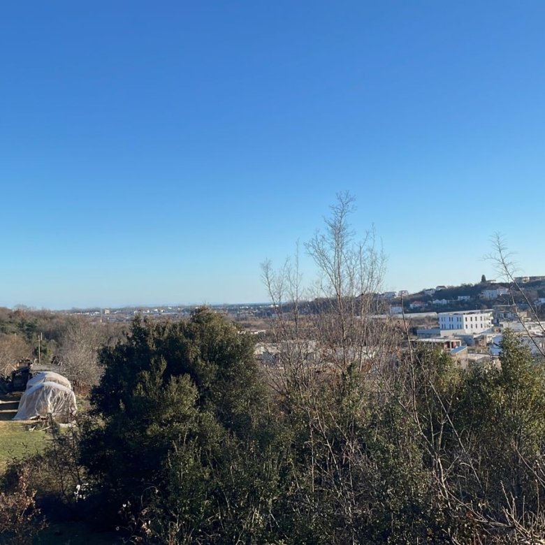 Prime Ulcinj land with open views, mature trees, greenhouses, and investment-ready plots. Exclusive on immorenta.me by ekosphere doo.