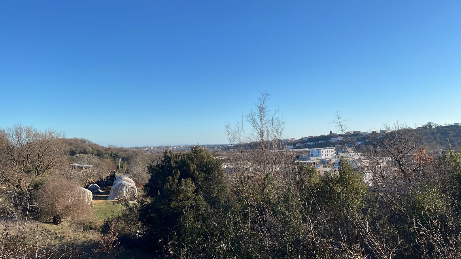 Prime Ulcinj land with open views, mature trees, greenhouses, and investment-ready plots. Exclusive on immorenta.me by ekosphere doo.