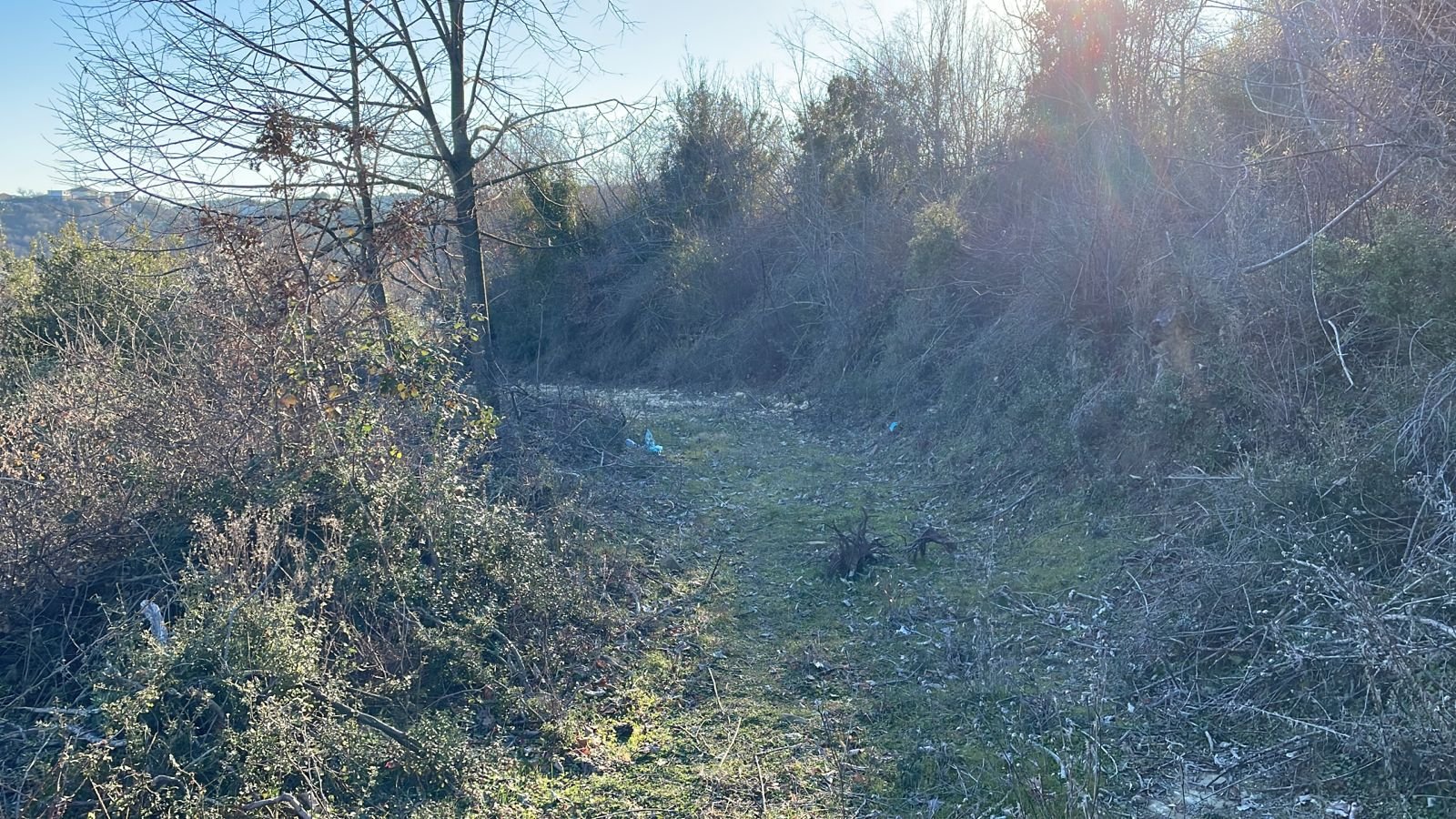 Exclusive investment opportunity in Ulcinj, Montenegro: scenic land with sunlight, natural vegetation, and development potential&mdash;listed by immorenta.me, a project of ekosphere doo.