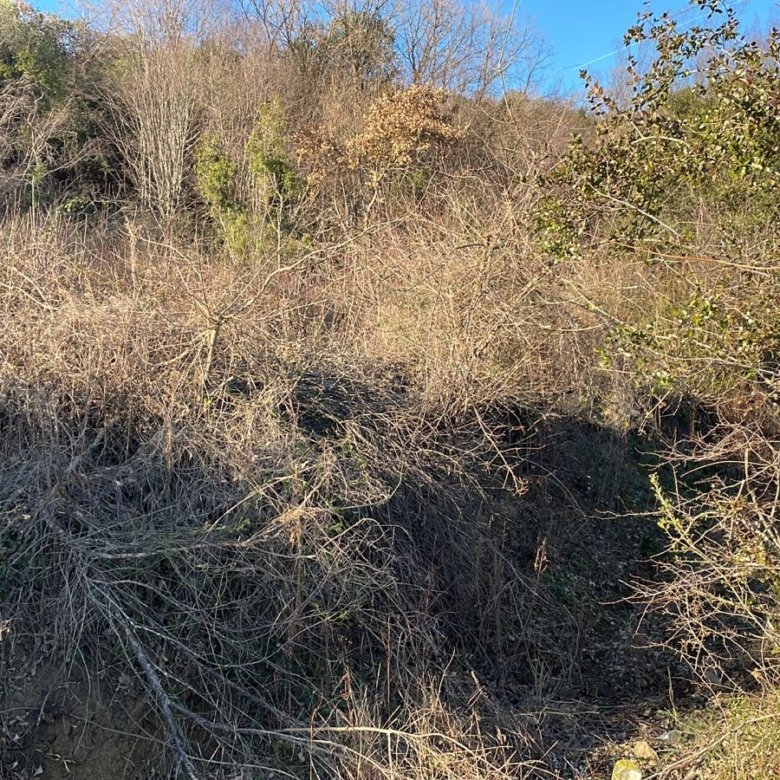 Prime Ulcinj hillside with panoramic views, sun-dappled terrain, and investment-ready land. Exclusive on immorenta.me by ekosphere doo.