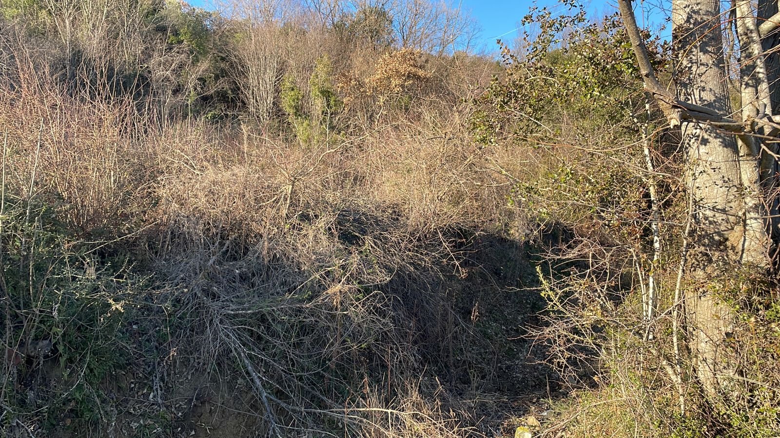 Prime Ulcinj hillside with panoramic views, sun-dappled terrain, and investment-ready land. Exclusive on immorenta.me by ekosphere doo.