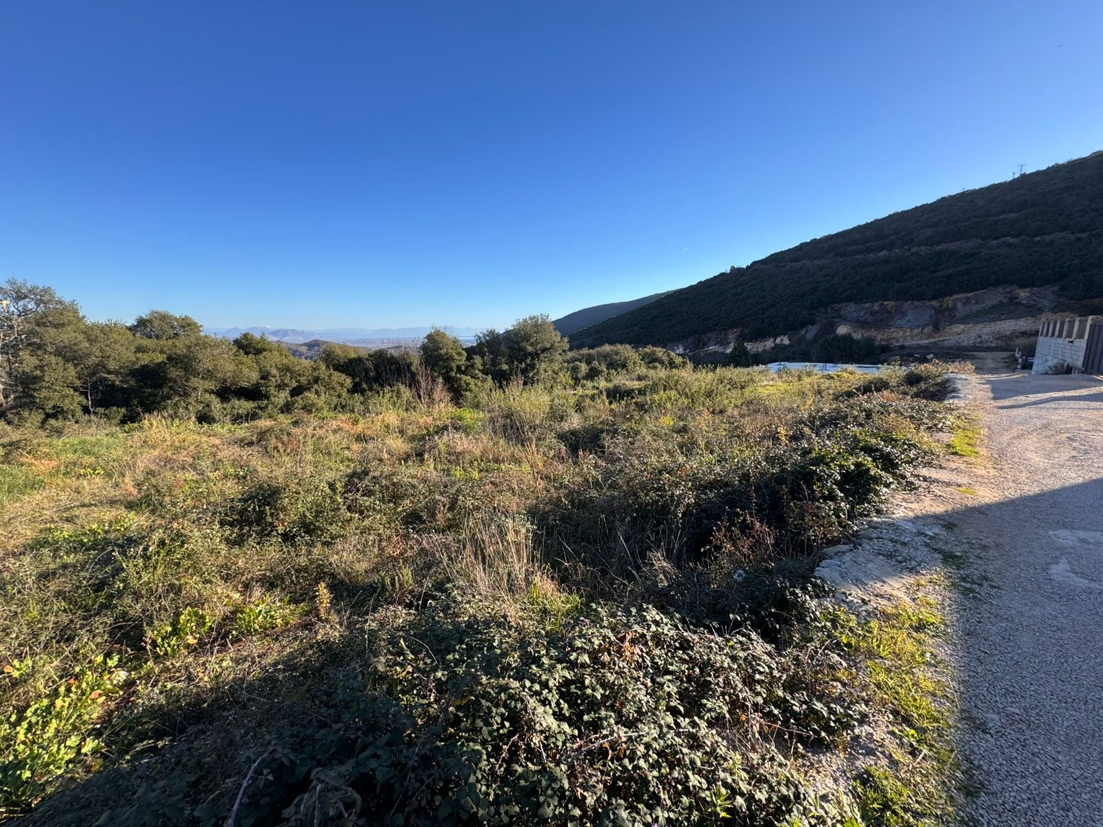 Prime Ulcinj land for sale: expansive grassy field by accessible road, lush trees, and hillside views. Invest via immorenta.me.